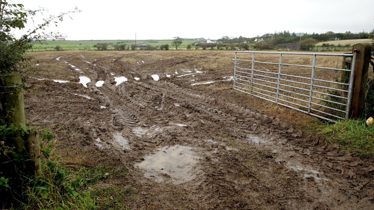 What will 2024 bring for Irish agriculture?