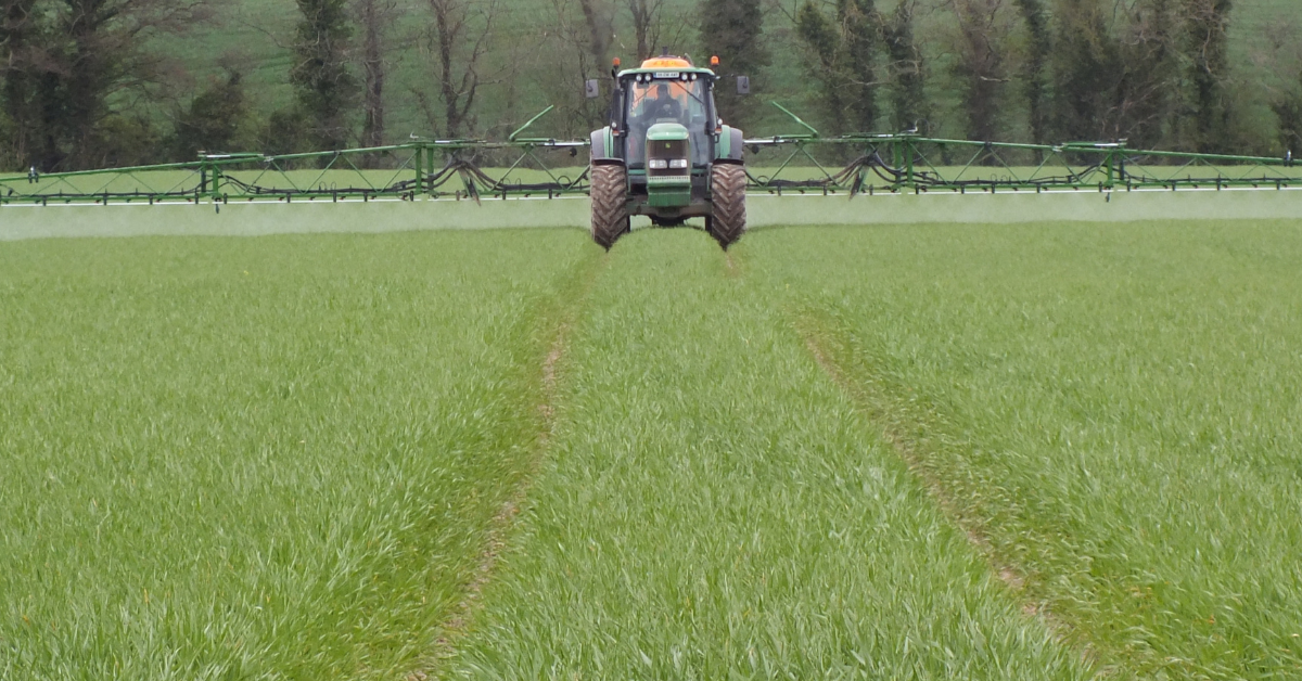Herbicide-resistant meadow grasses pose threat to weed control