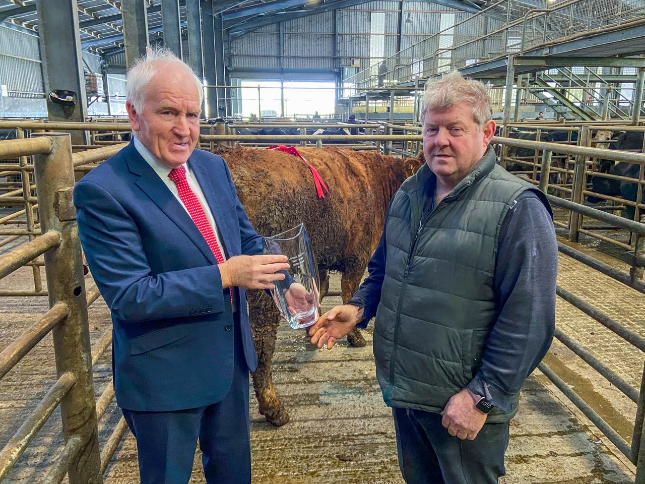Limerick farmer awarded Best Factory Heifer Award in Listowel