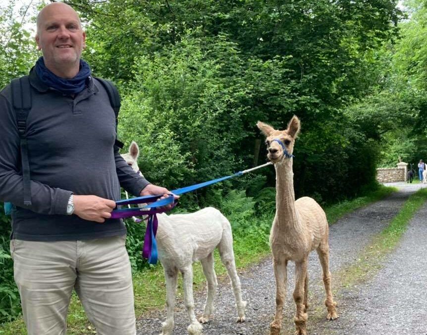 Roscommon Dexter cattle and alpaca farmer joins FFN