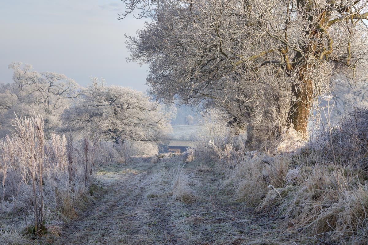 Temperatures set to fall to -4, with severe frost in store this weekend