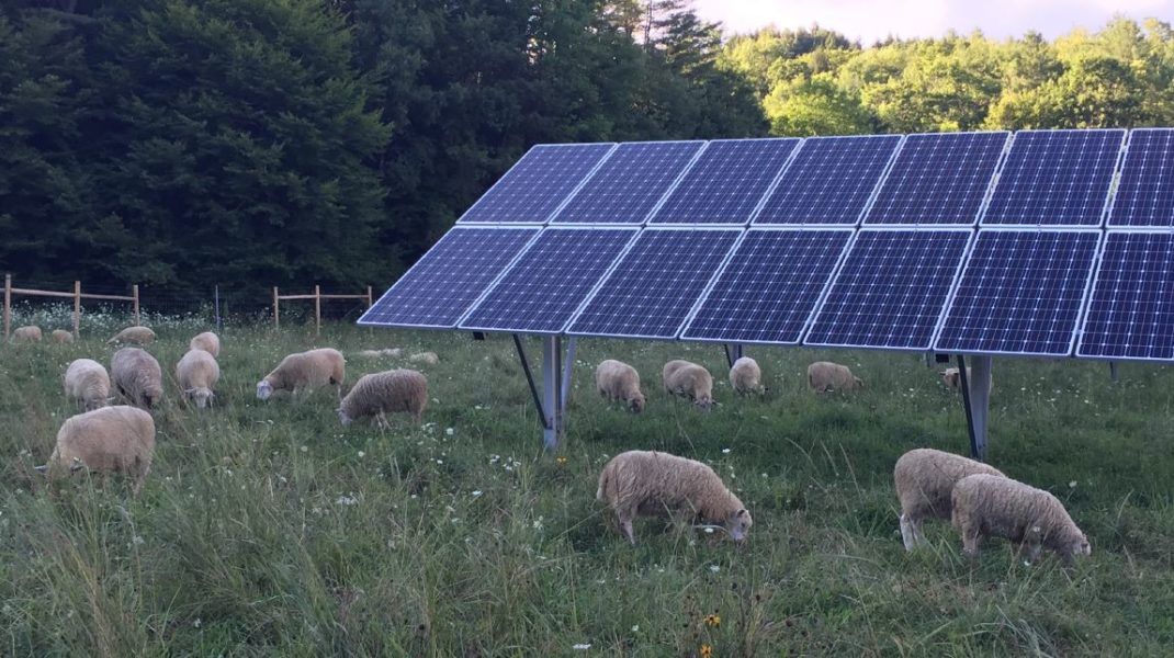 Climate Action Plan: Focus on solar power broadly welcomed