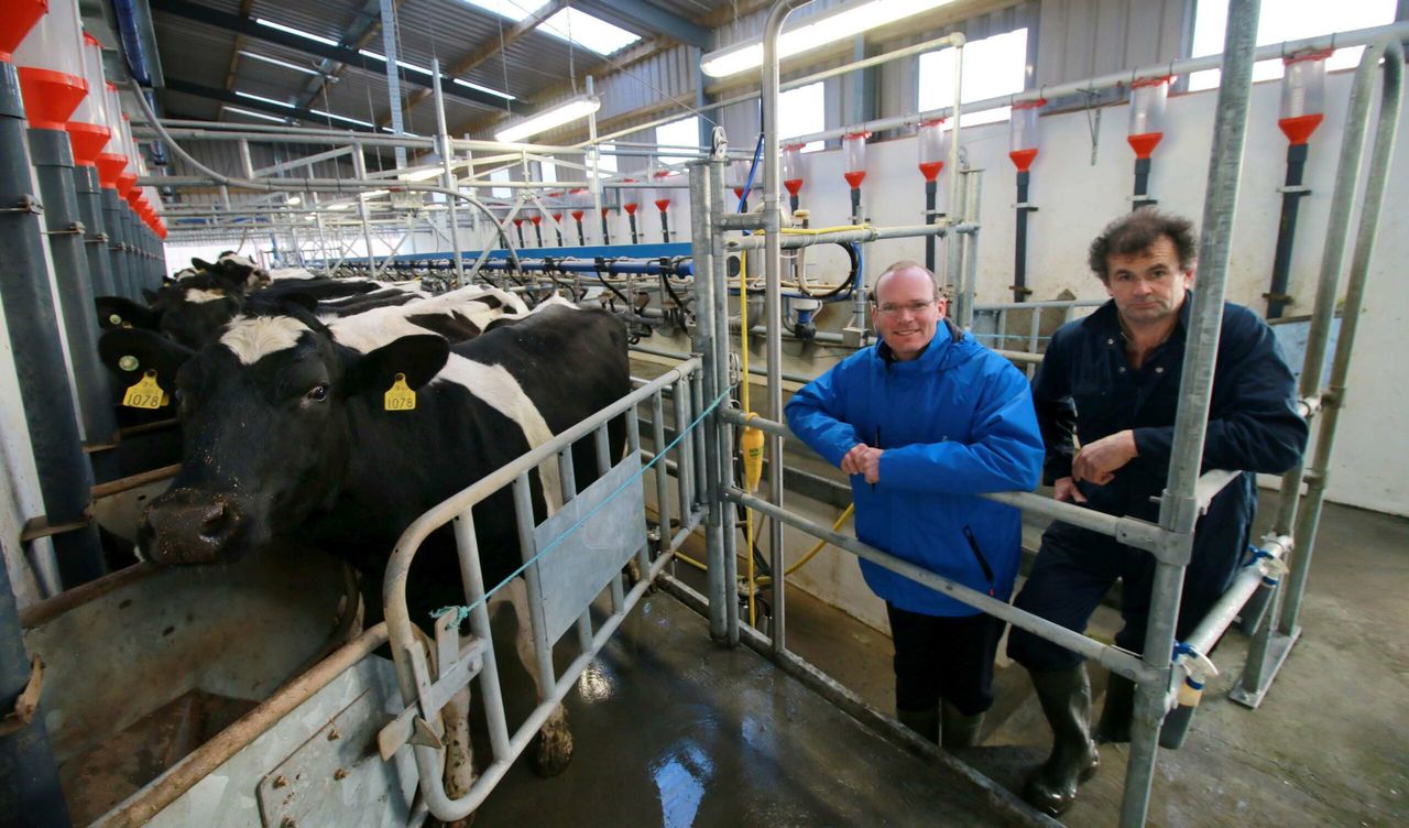 Upward pressure on fertiliser prices likely to continue - Minister