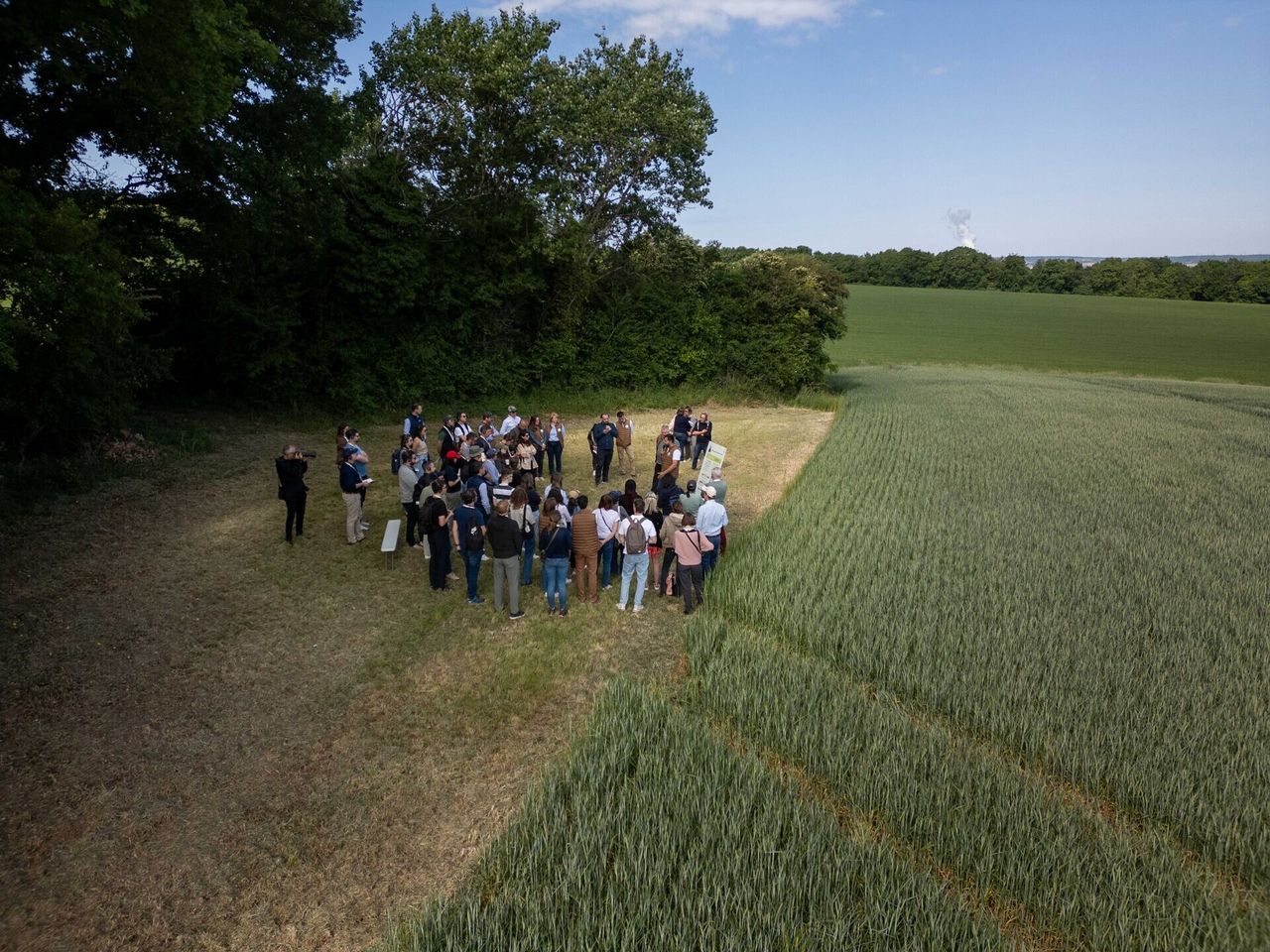 Diageo backs global framework to 'scale regenerative agriculture'