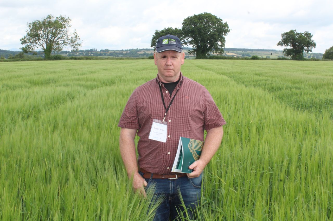 Plan needed to reflect tillage growth potential - IGGG