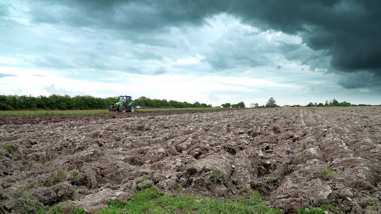 Video: Getting the plough out in Co. Roscommon