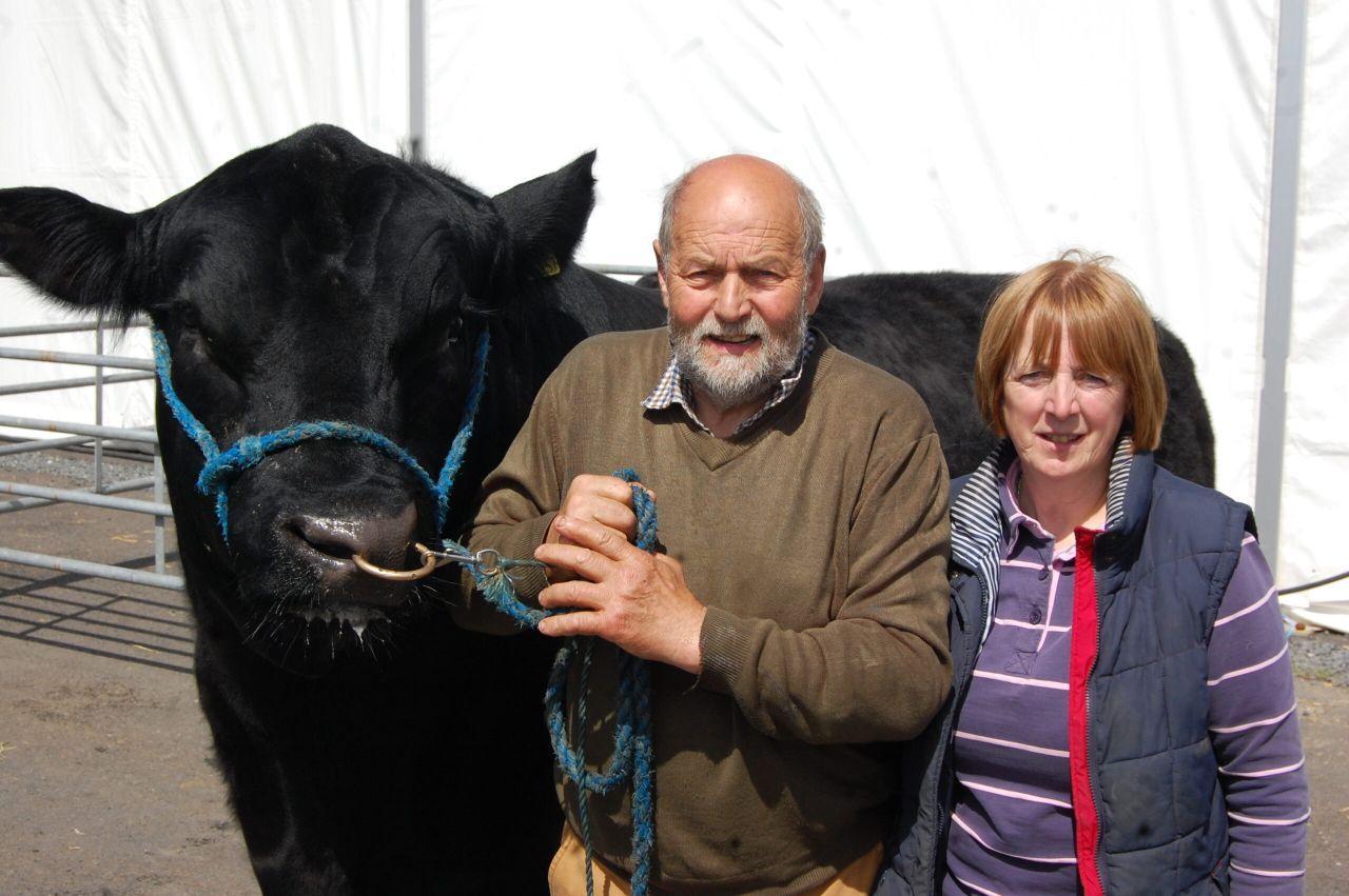 Cork Angus breeder Albert de Cogan and his wife Jennifer preparing Rosemead Korona for his big day at Balmoral Show