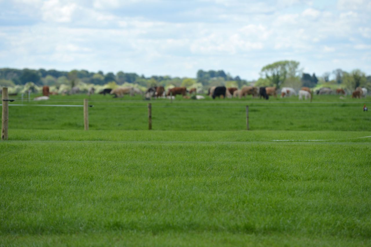 Almost 80 Teagasc staff earned over €100,000 last year