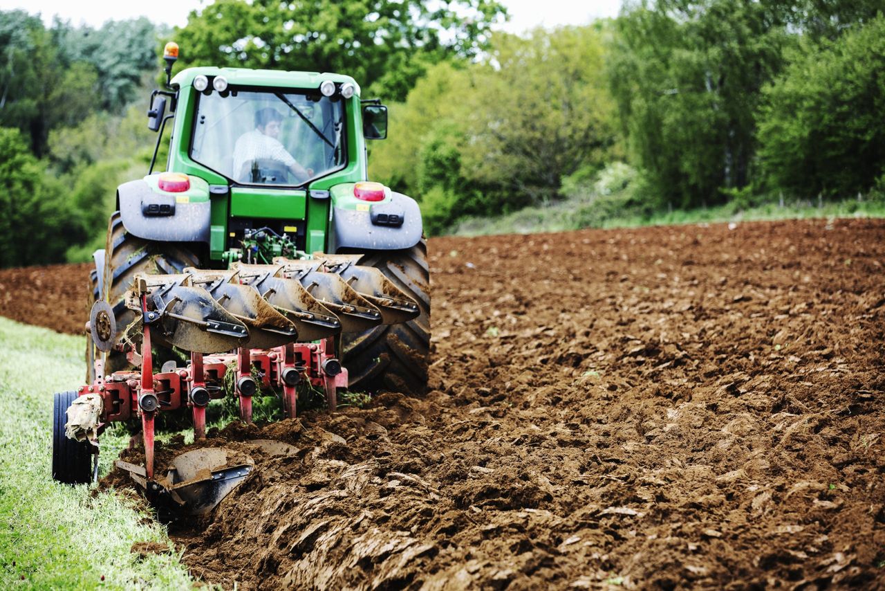 Political pressure growing on govt to 'deliver for tillage sector' in Budget 2026