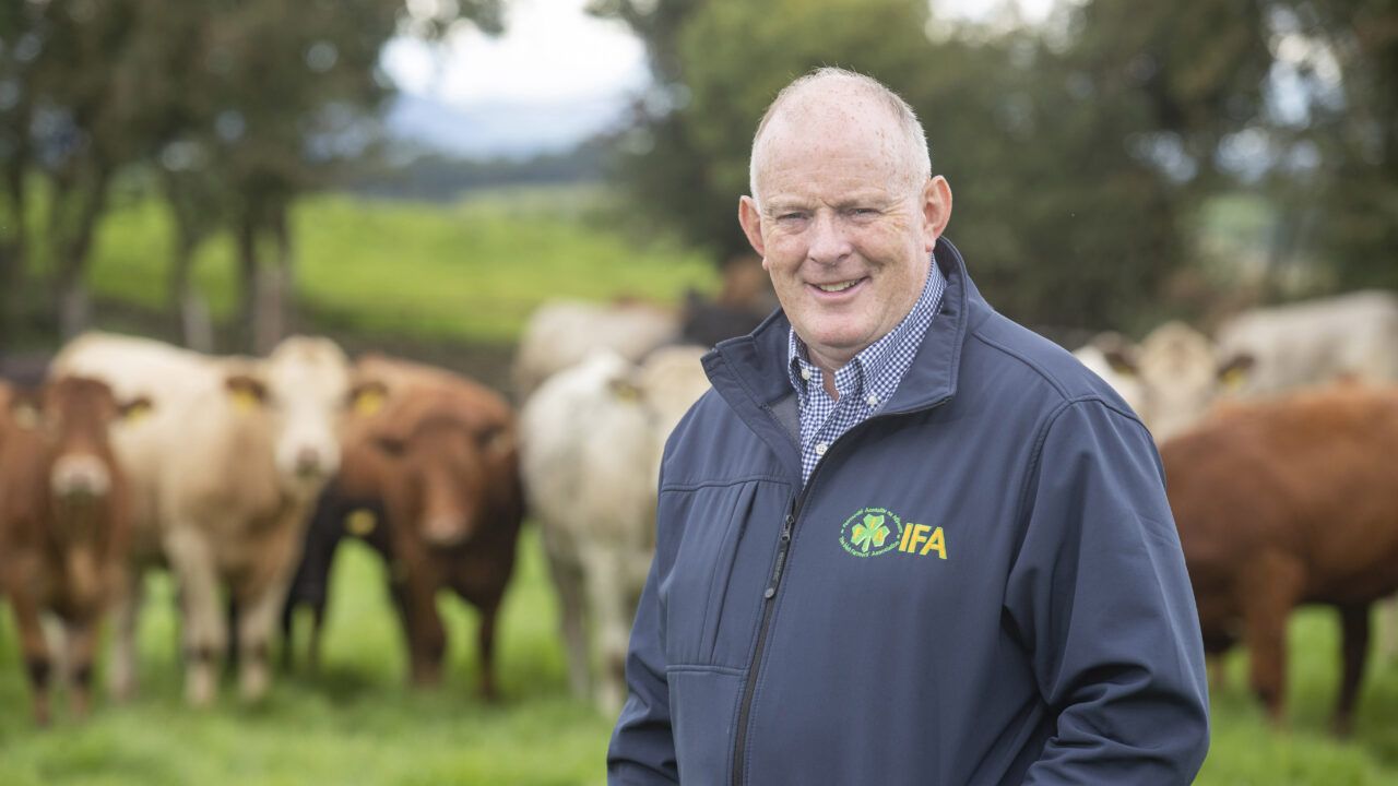 Gorman raises 'issues' to be addressed following new IP rules