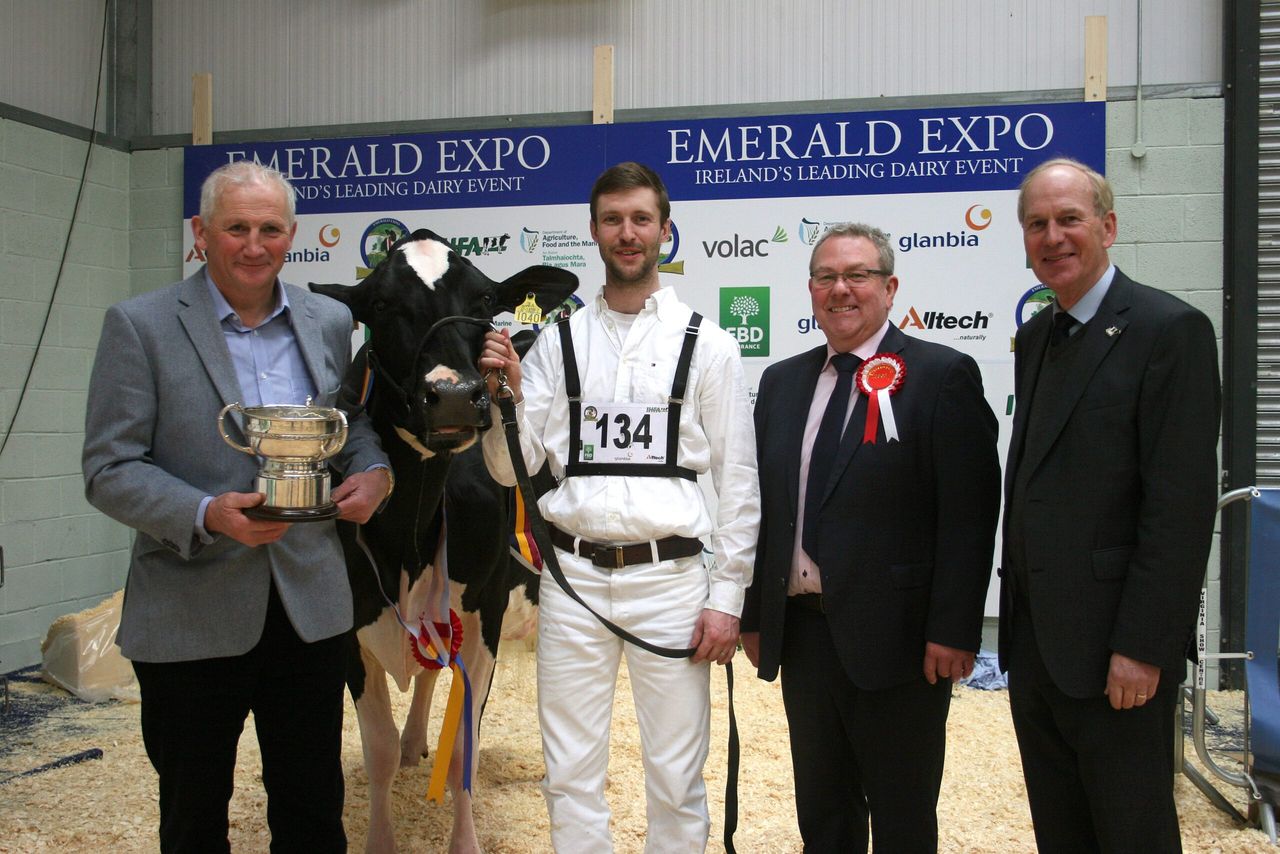 World-class animals on show at Emerald Expo