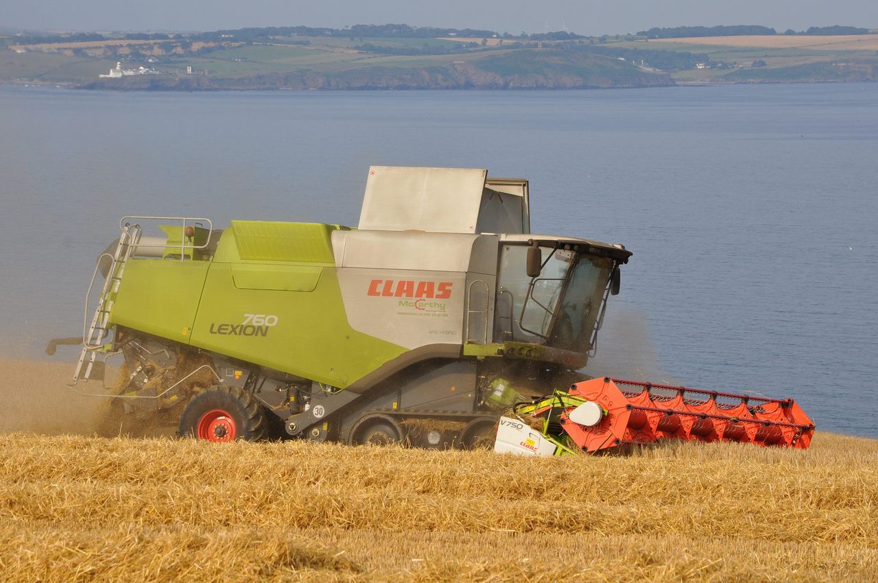Winter barley - a tale of rotation in the south-east