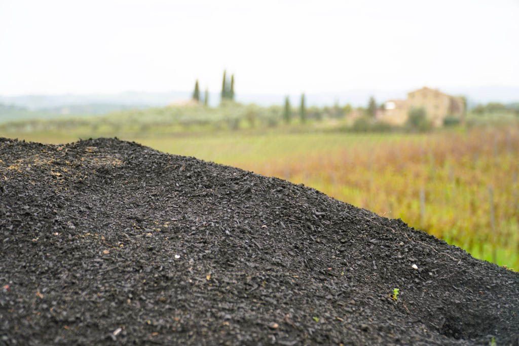 Is biochar the wonder fix for Irish soils?