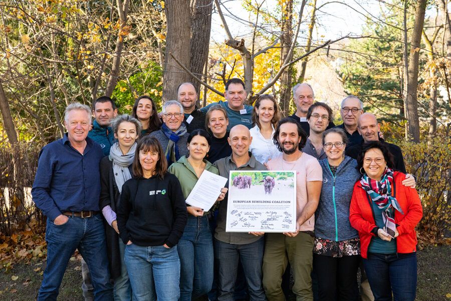 European organisations seek to scale up 'practical rewilding'