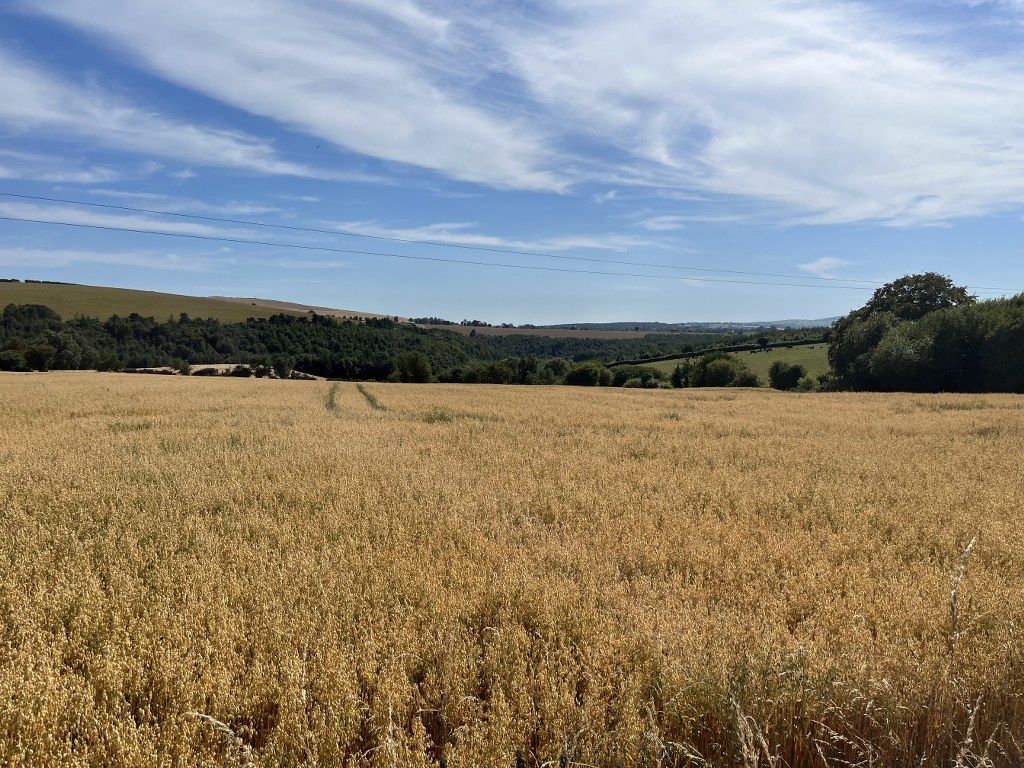 Wicklow property sells for approximately €21,000/ac
