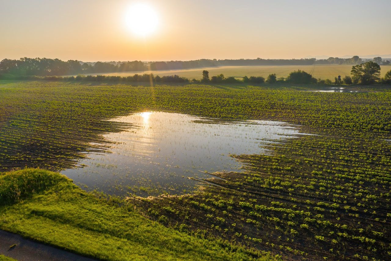 Is there an issue with 'calendar farming' in Ireland?