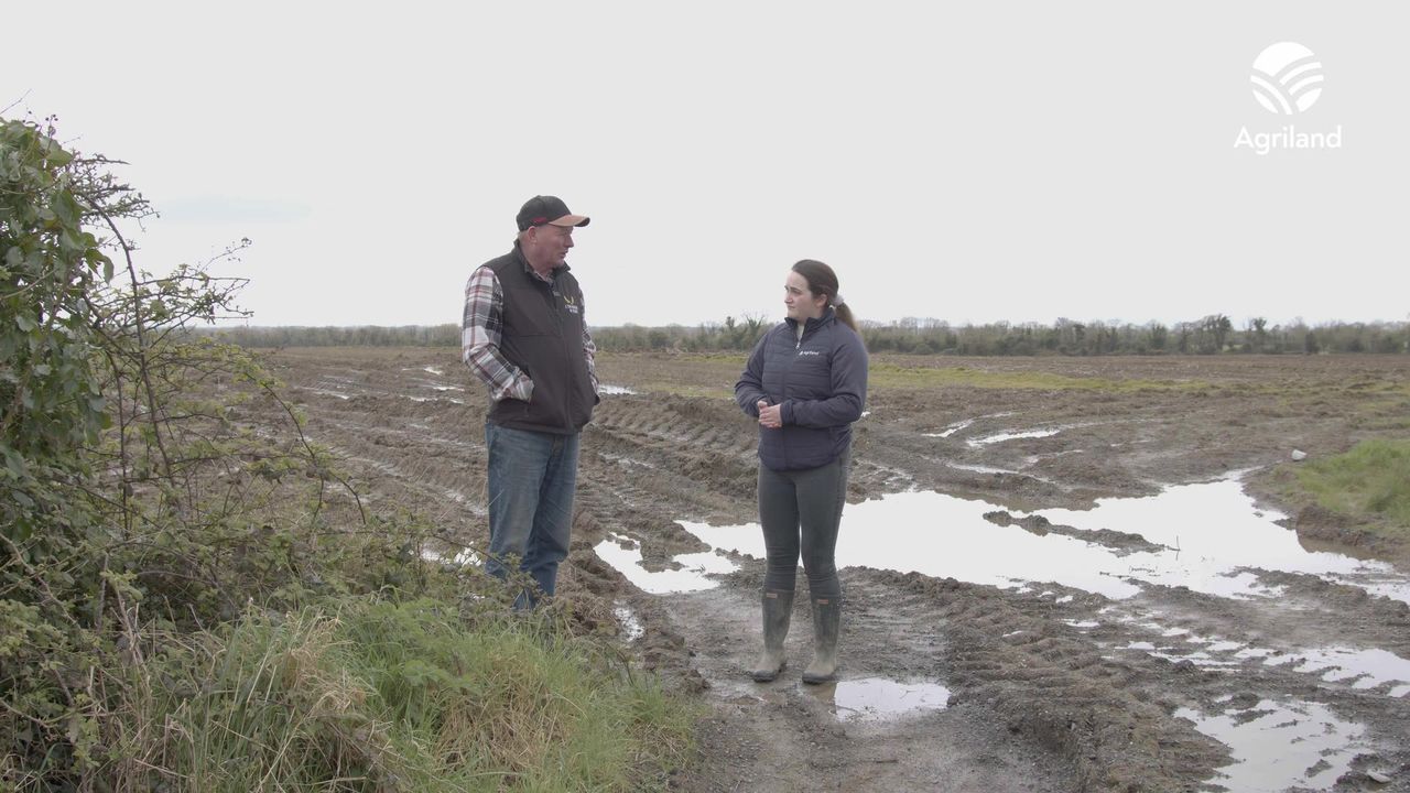 Watch: Farmer warns that stress over weather will 'break people'