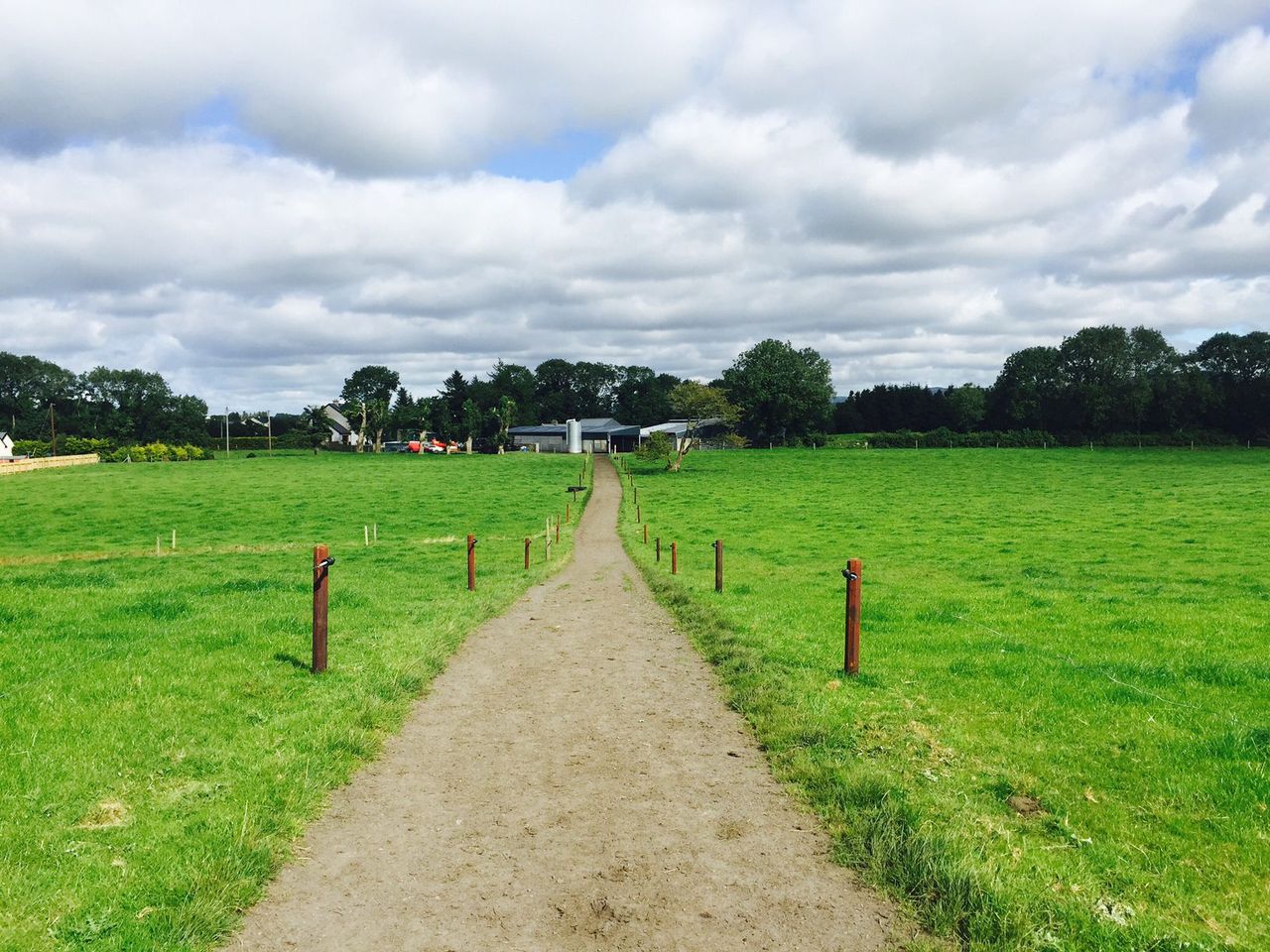 Preventing lameness through grazing infrastructure