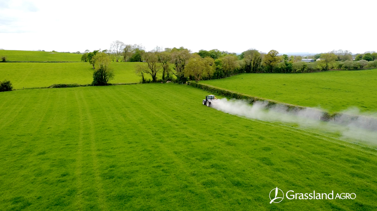 What to Consider Before Adding Clover to Your Sward