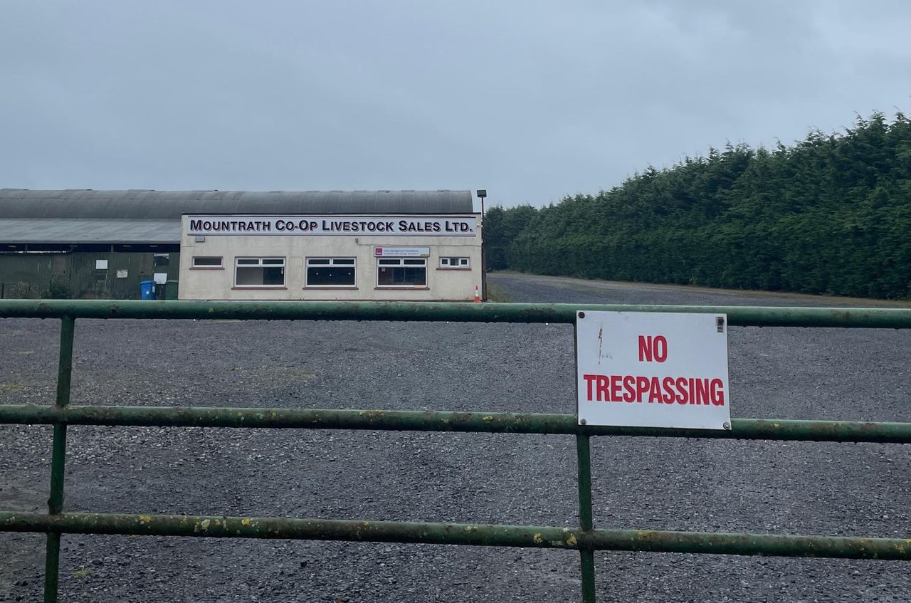 Bid to re-open Mountrath Mart ongoing despite 'bad attendance' at AGM