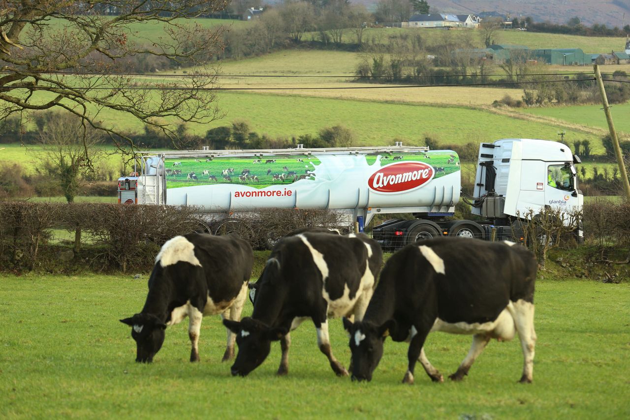 New dryer up and running in Glanbia as production capacity soars