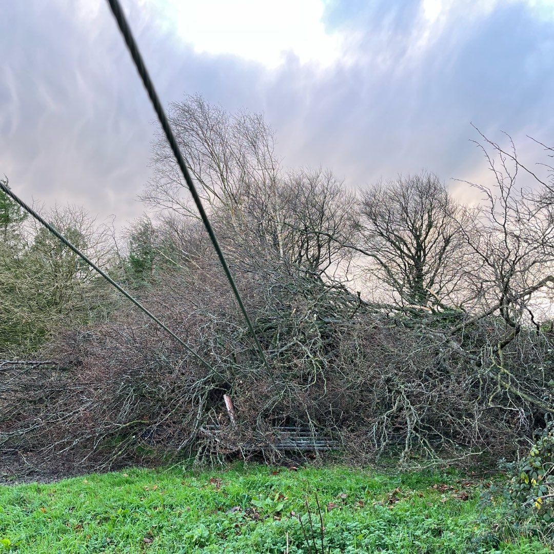 Storm Éowyn: ICMSA urges farmers to 'minimise personal risks'