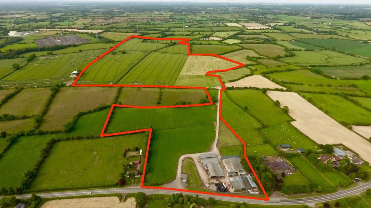 Pelletstown Farm: Historical Limousin enterprise to go under the hammer