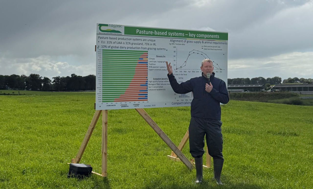 Innovation ‘the answer’ to Irish farming challenges – MEP