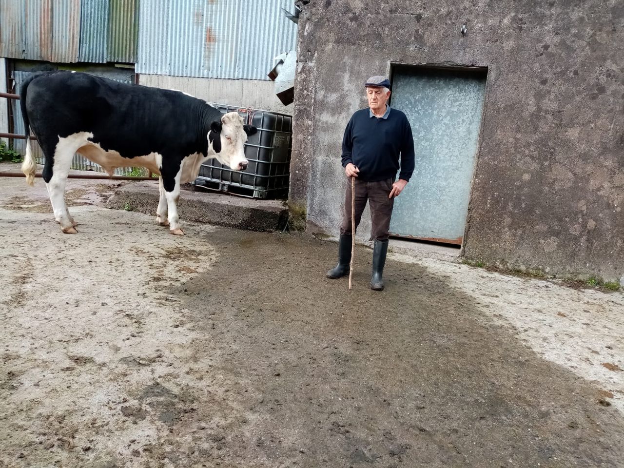'Excellent' cancer care prompts farmer to donate bullock for support services