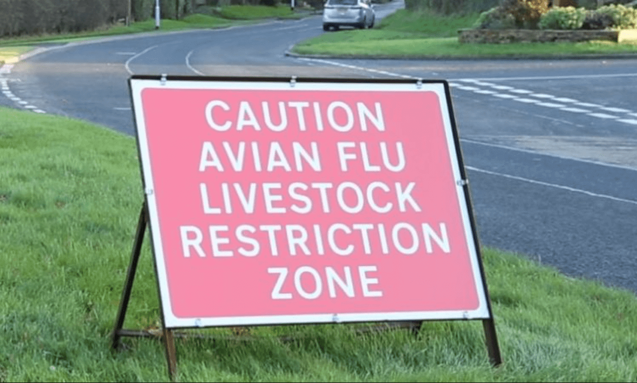 Avian influenza: DAFM confirms 230,000 birds culled in disease-control plan