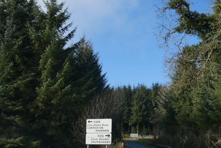 Afforestation in Co. Leitrim: 'It's like a game of monopoly'