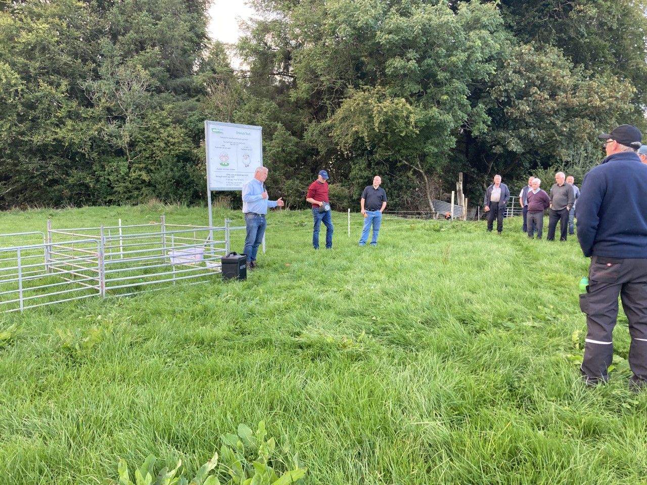Farm walk: Anthelmintic resistance causing NZ sheep farmers to quit