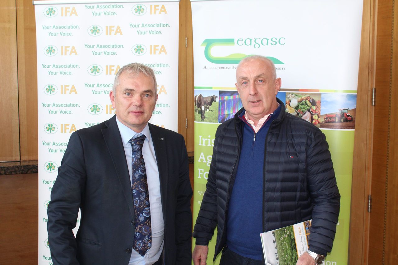Potatoes have 'huge role' within agriculture despite challenges - expert