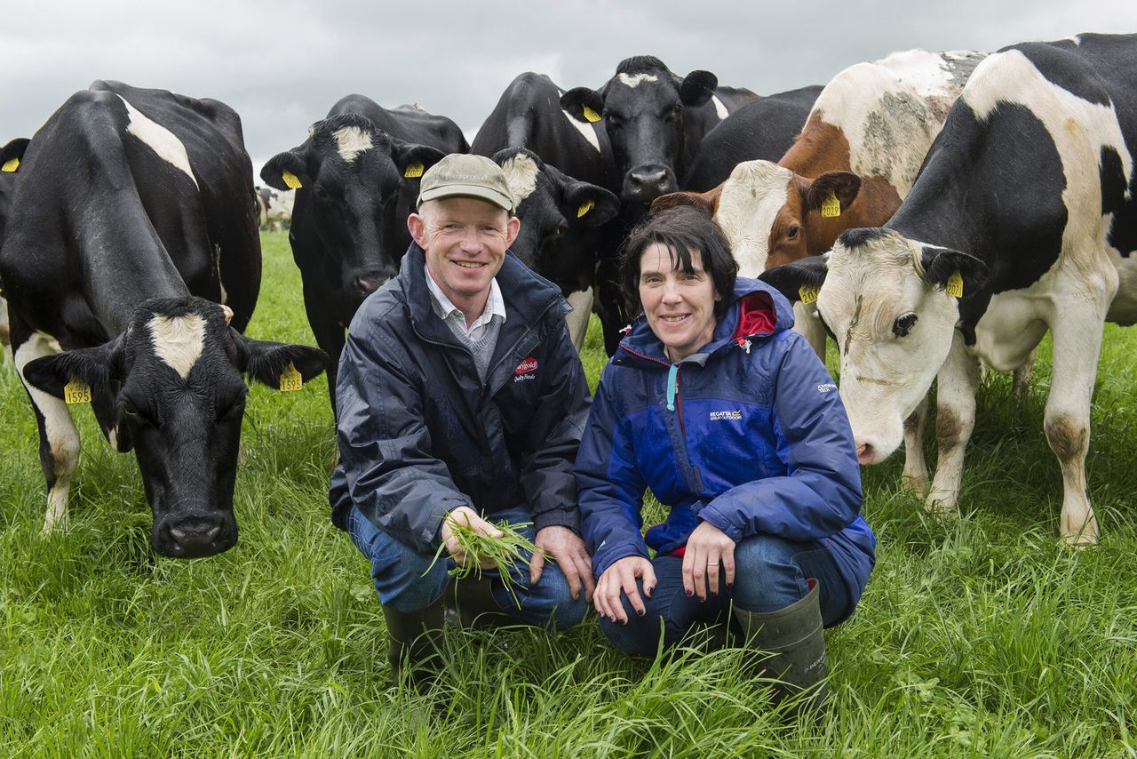 Dairygold annual Milk Quality Awards winner announced