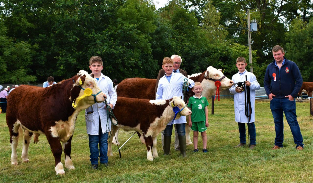 Pics: Over 60 Herefords on display at the North Tipperary Agricultural Show