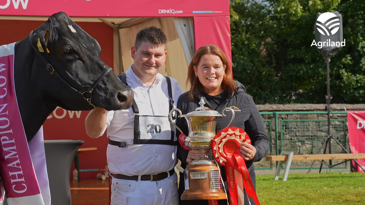 Diageo Baileys Champion Cow Winners