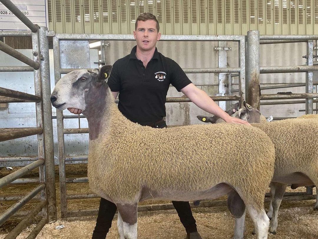 Thursday: Hill farmer Eoin is back with a second takeover