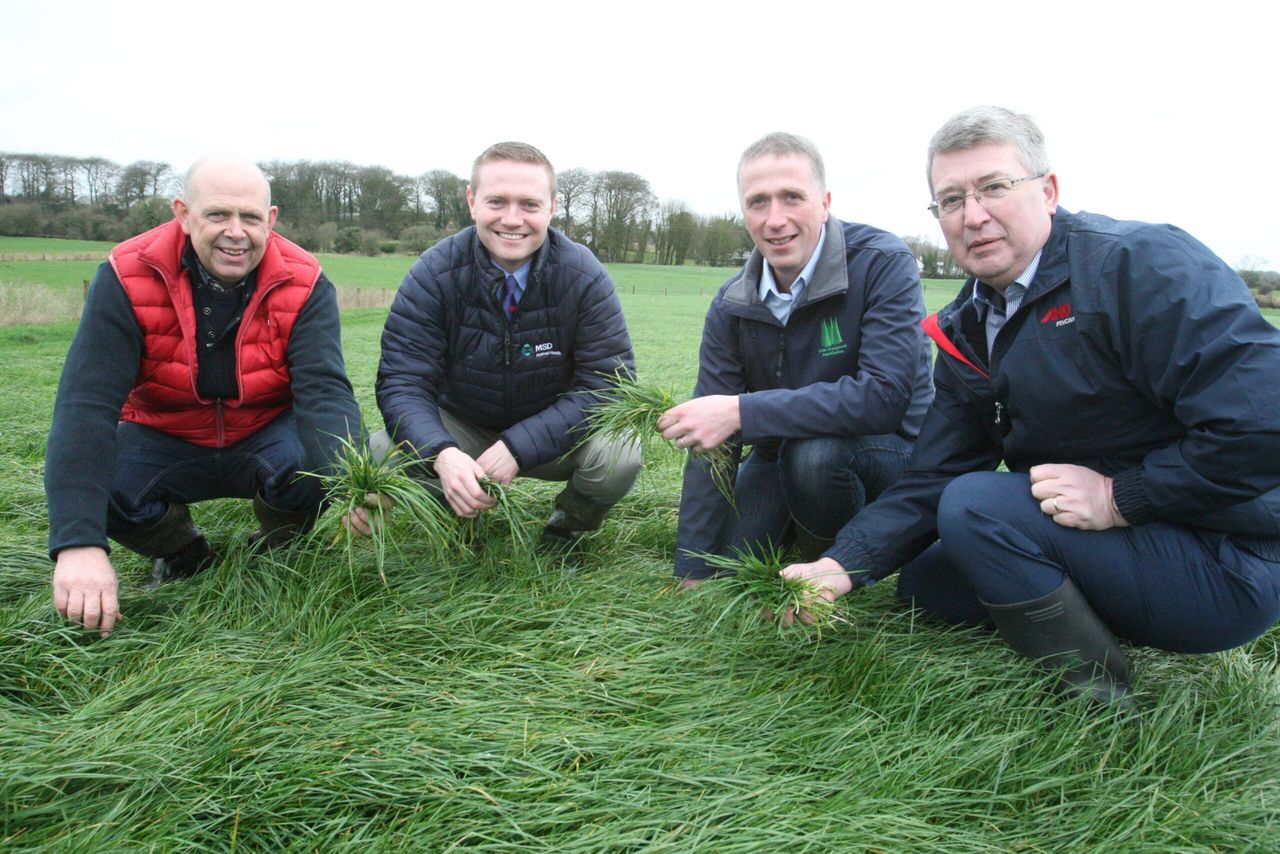 MSD appoints former county footballer to senior role