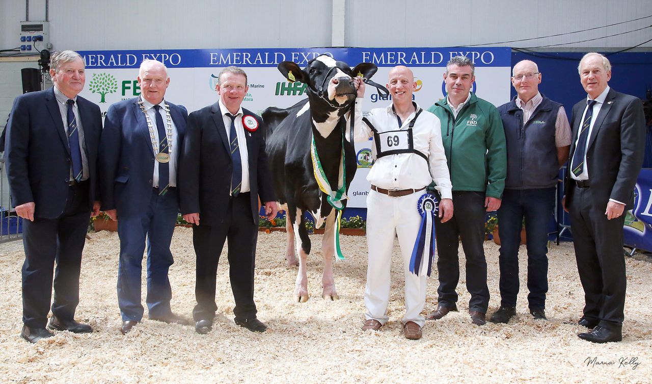 Baldonnel herd shines once again at Emerald Expo