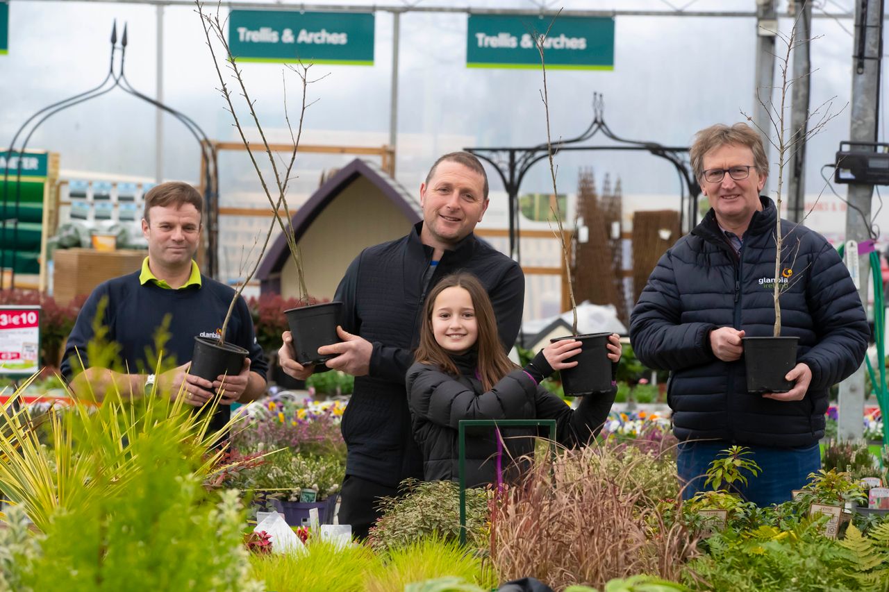 Glanbia plants 100,000 trees one year ahead of schedule