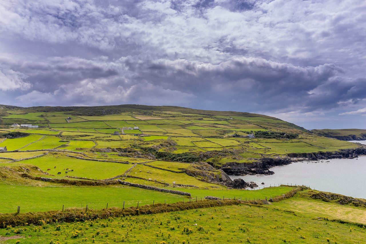 Report identifies cross-border opportunities for sustainable agriculture