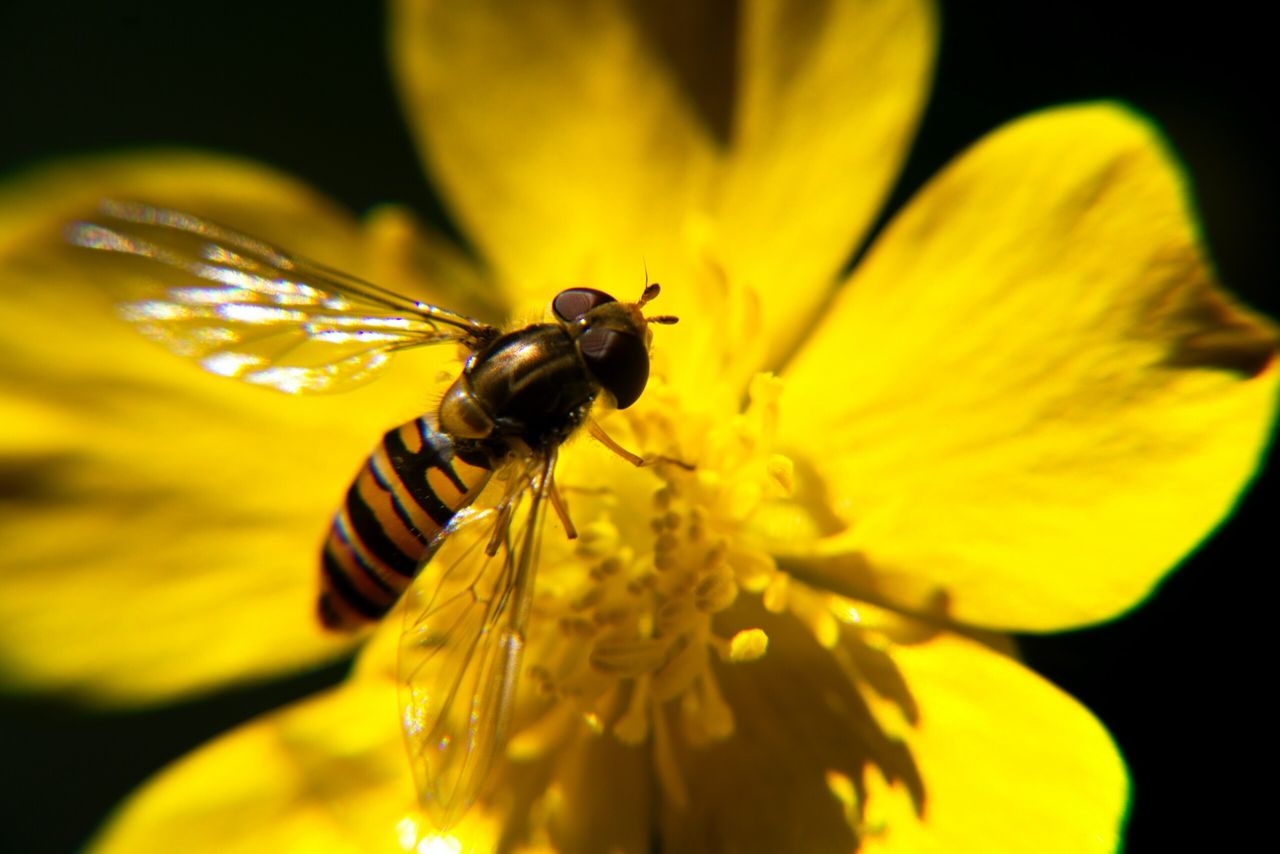 COP15: Calls for minister to promote the 'natural capital approach'