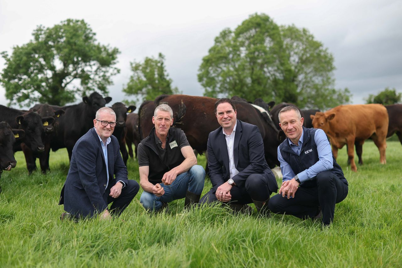 Lower-carbon Irish beef range to hit Tesco shelves