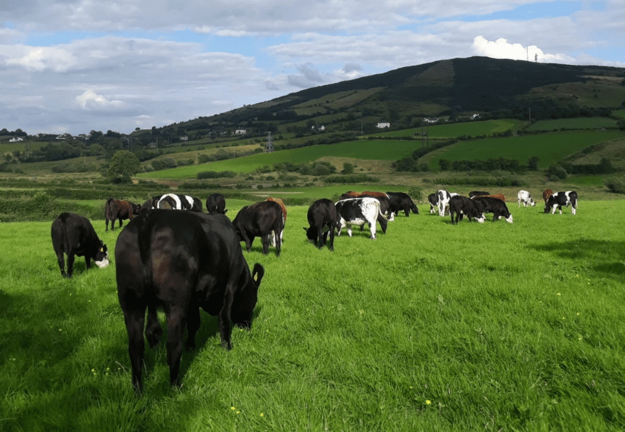 Creed reveals amount spent on TB-related research in 2017/2018