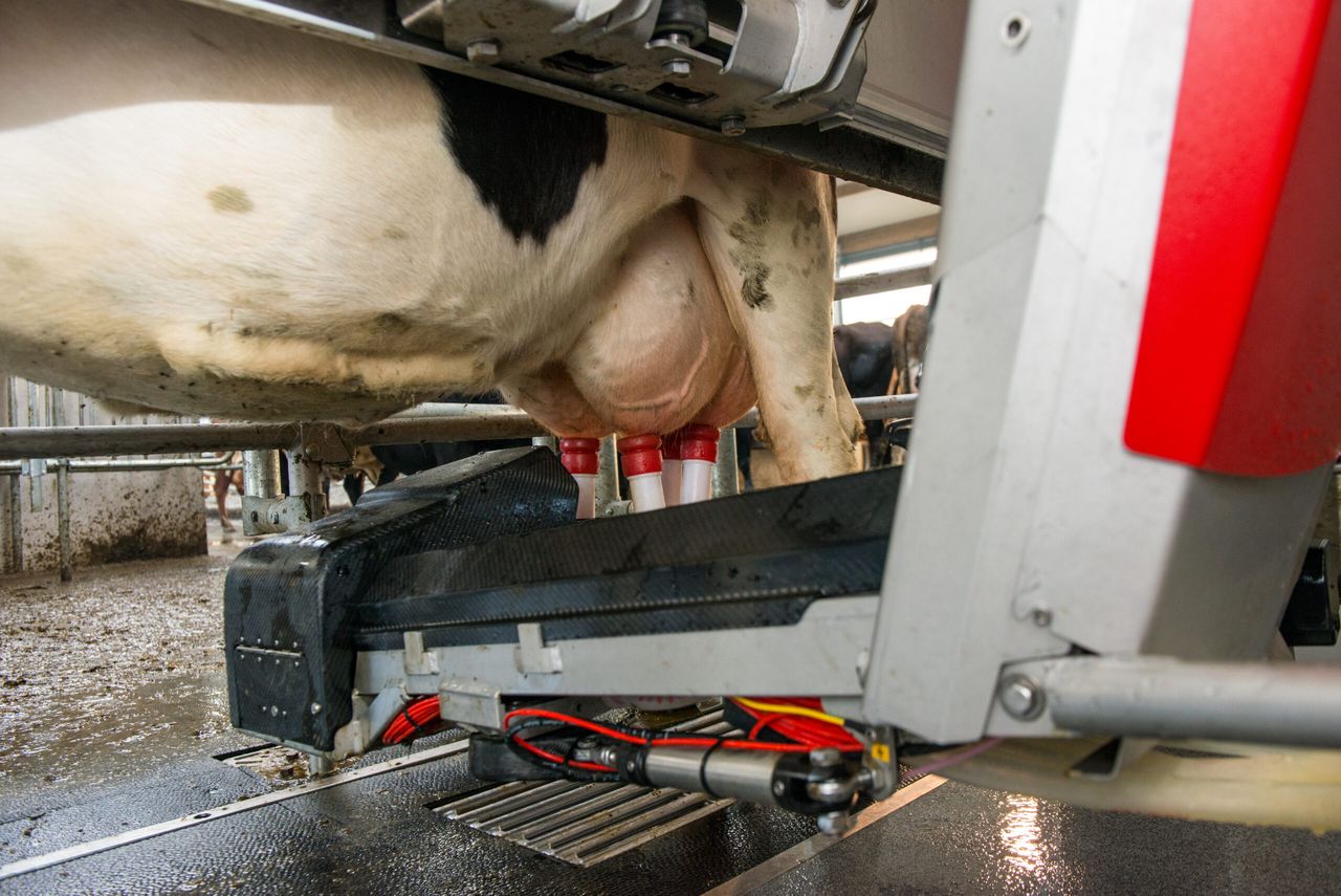 Milking marvel? Lely reveals new, 'revolutionary' robot for 2018