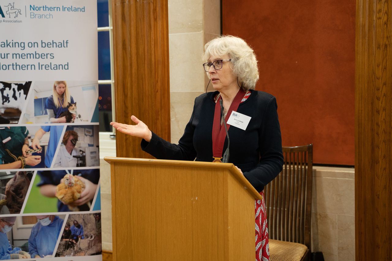 Permanent solution to vet medicines access in NI must be found - BVA