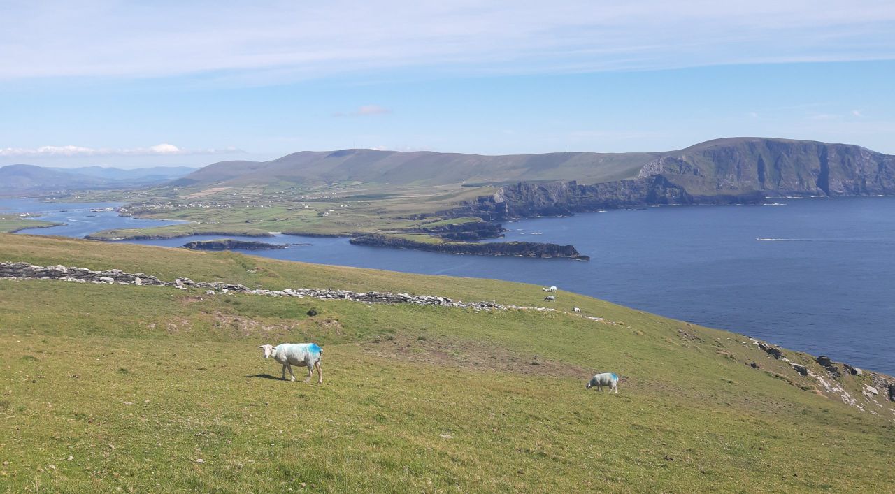 Met Éireann issues high temperature warning