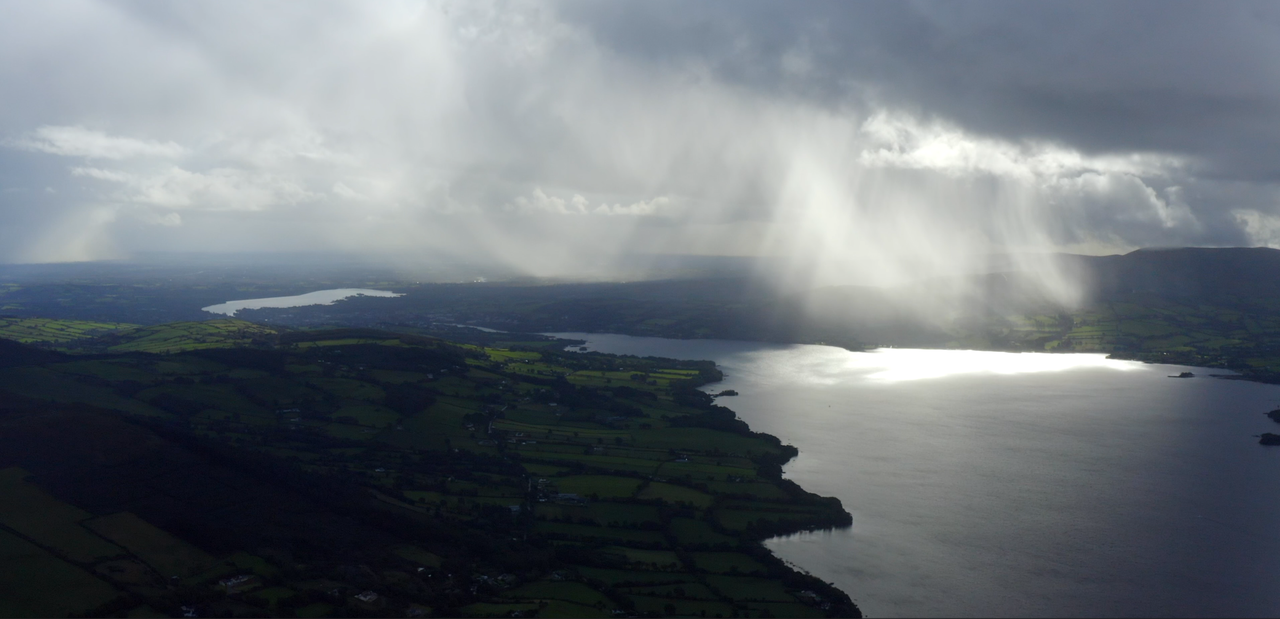 Alternative water source for animals advised amid algal bloom on Lough Derg
