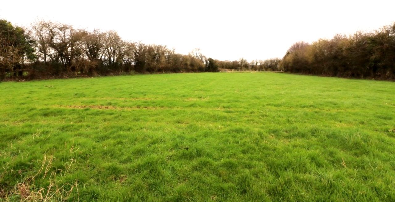 Non-residential farm on 70ac to go under the hammer in 'The Marble County'