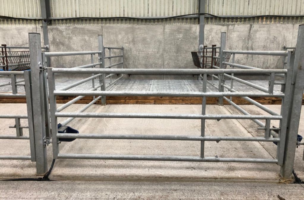 Avoid using water when cleaning the calf shed